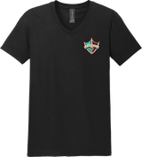 Delaware Ducks Softstyle V-Neck T-Shirt