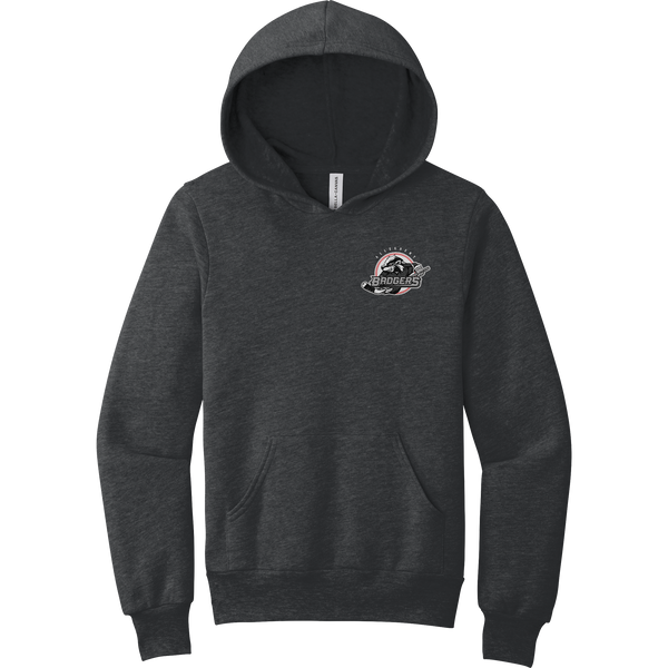 Allegheny Badgers Youth Sponge Fleece Pullover Hoodie