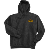 NJ Bears Ultimate Cotton - Pullover Hooded Sweatshirt