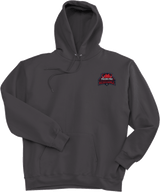 Philadelphia Resistance Ultimate Cotton - Pullover Hooded Sweatshirt