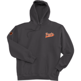 Biggby Coffee AAA Ultimate Cotton - Pullover Hooded Sweatshirt