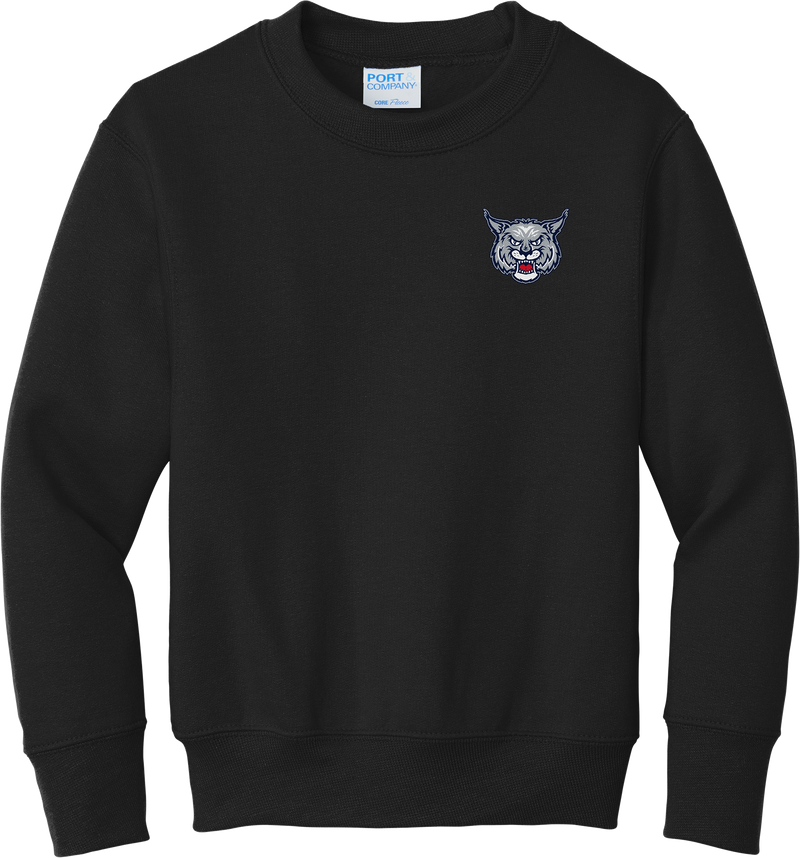 CT Bobcats Youth Core Fleece Crewneck Sweatshirt